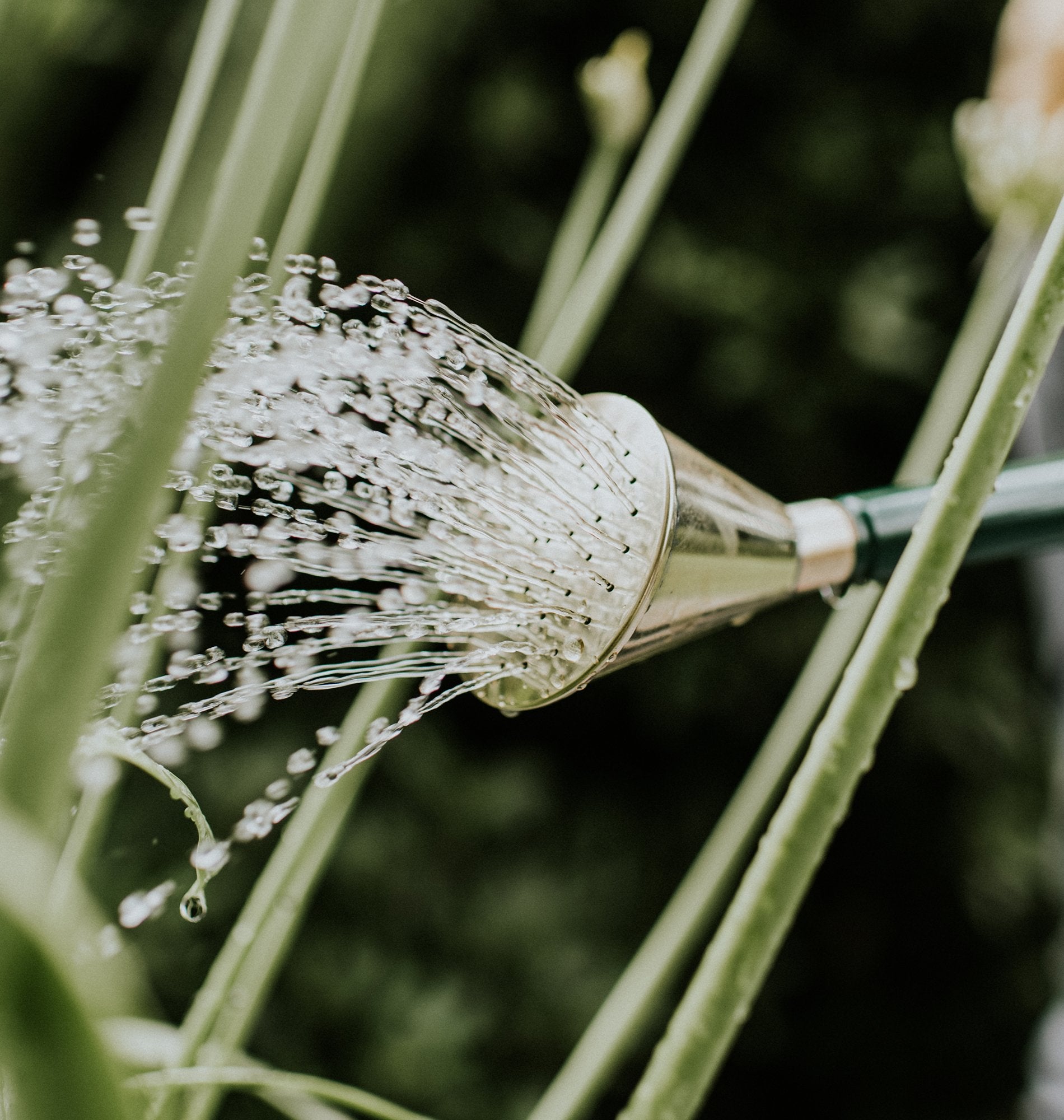 Watering Accessories Nutley's Kitchen Gardens