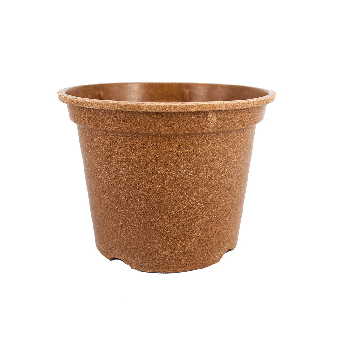 large biodegradable plant pots uk Nutley's 100% Biodegradable 9cm Plant Pots – Nutley's Kitchen Gardens