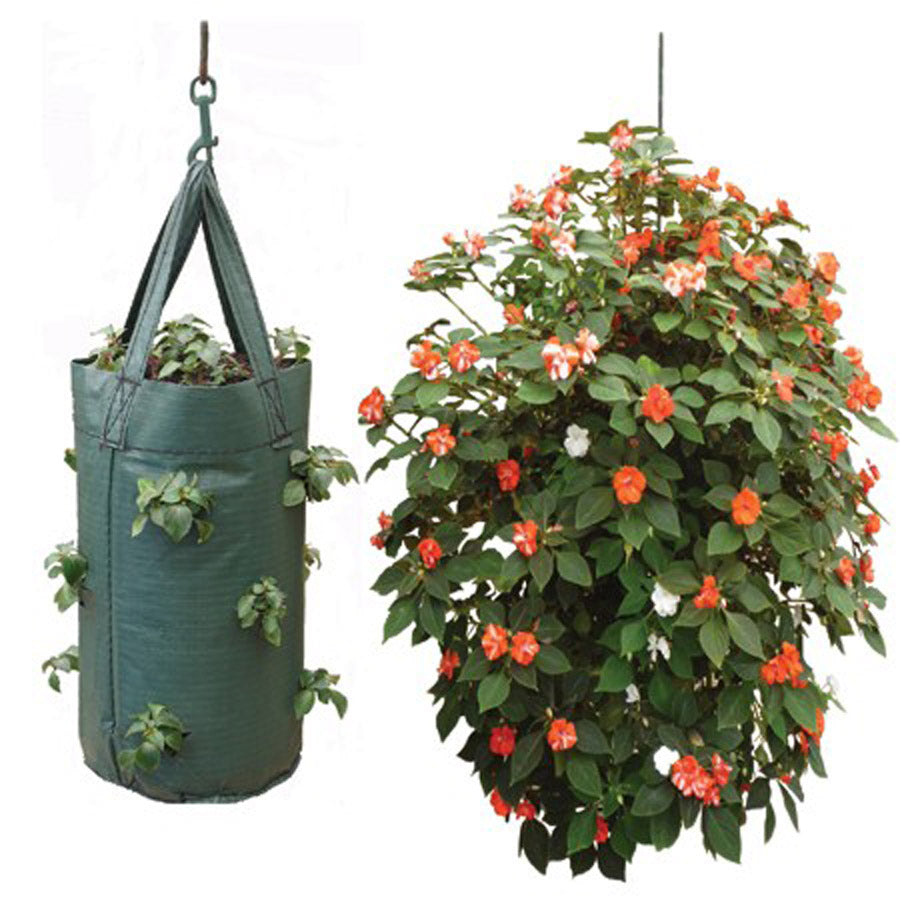 planting tomatoes in hanging pots Nutley's Hanging Tomato Planter Pouch – Nutley's Kitchen Gardens