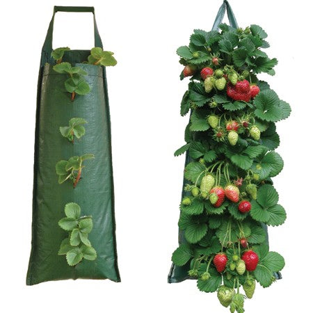 hanging bags for plants Nutley's Hanging Strawberry Flower Bag – Nutley's Kitchen Gardens