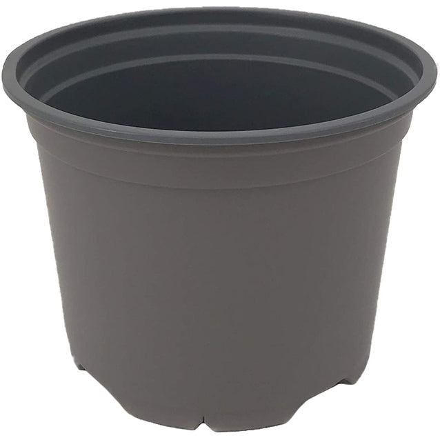 1 litre plant pot dimensions Nutley's 13cm 1 Litre Round Plant Pot – Nutley's Kitchen Gardens
