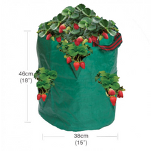 Load image into Gallery viewer, Garland Strawberry &amp; Herb Growbag With dimensions
