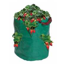 Load image into Gallery viewer, Garland Strawberry &amp; Herb Growbag
