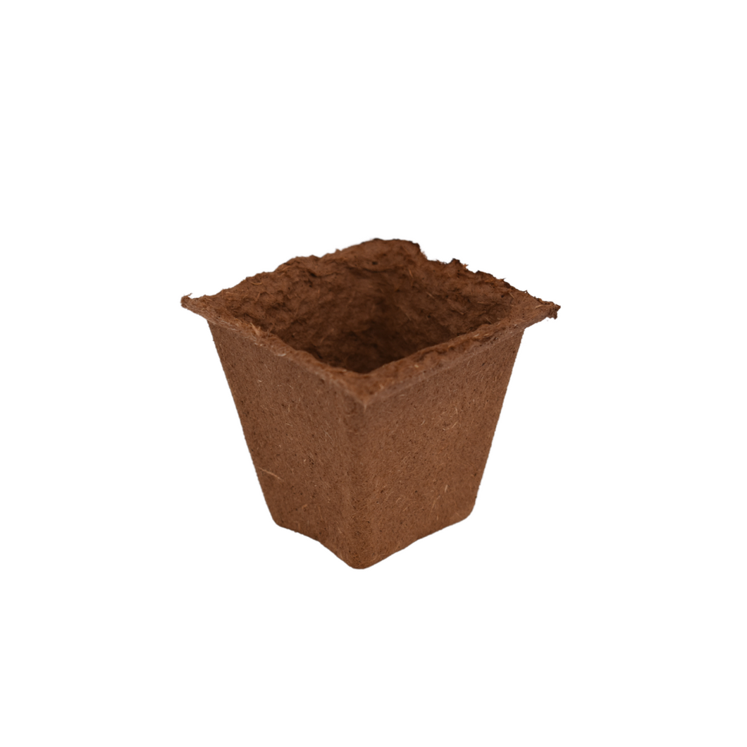 Nutley's 6cm Square Biodegradable & Organic Wood Fibre Plant Pots