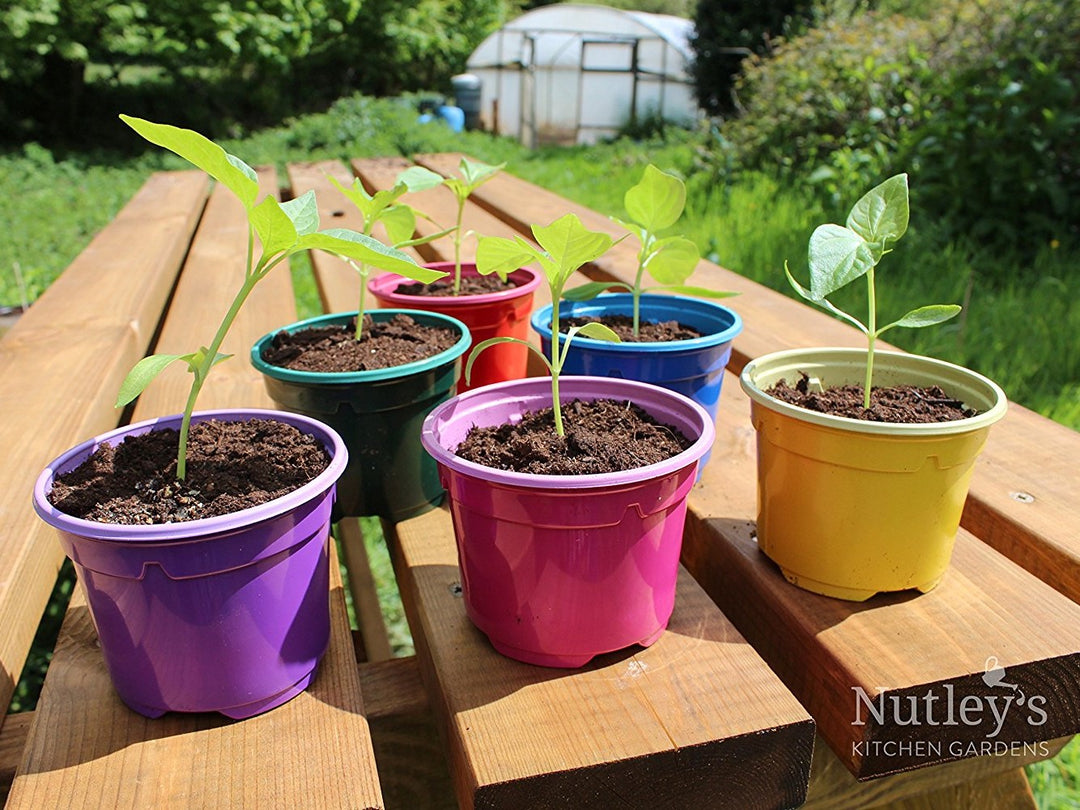 Plastic Gardening Pots Modiform Pots Nutley's Kitchen Gardens Grow Your Own Plastic Pots