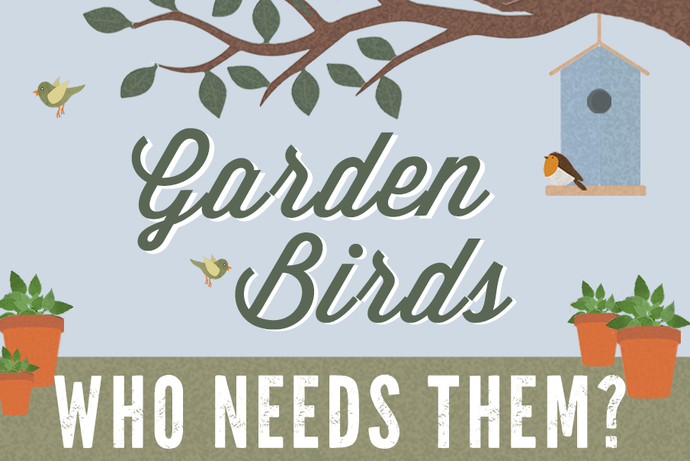 Garden Birds - Who Needs Them?