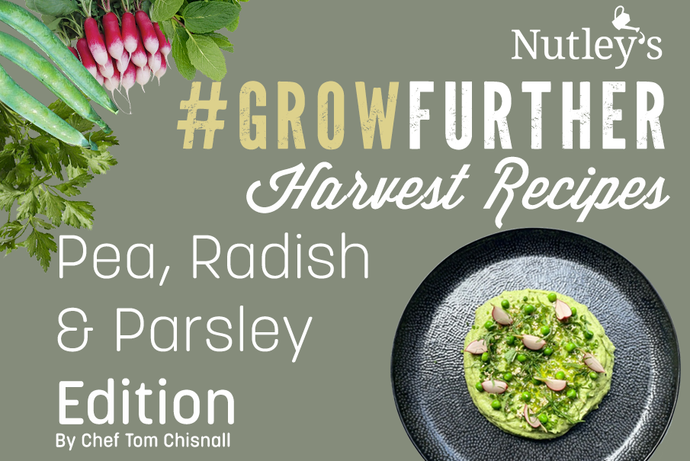 Harvest Recipes - Pea, Radish & Parsley Edition