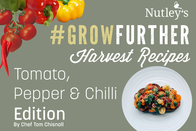 Harvest Recipes - Tomato, Pepper & Chilli Edition