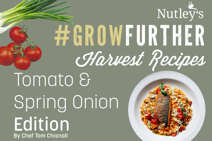 Harvest Recipes - Tomato & Spring Onion Edition