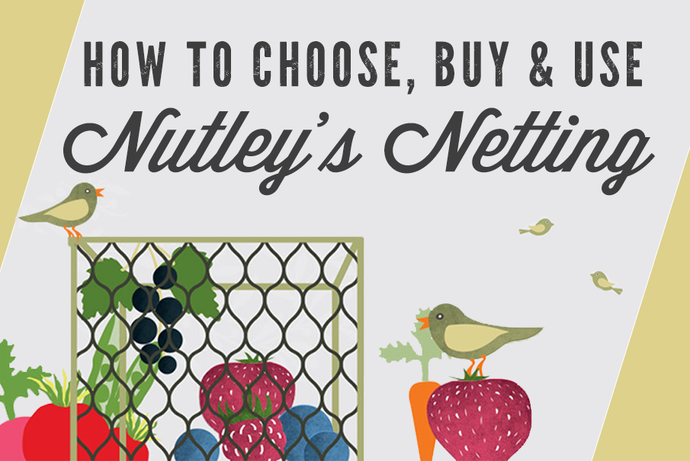 How to Choose, Buy & Use Nutley’s Netting