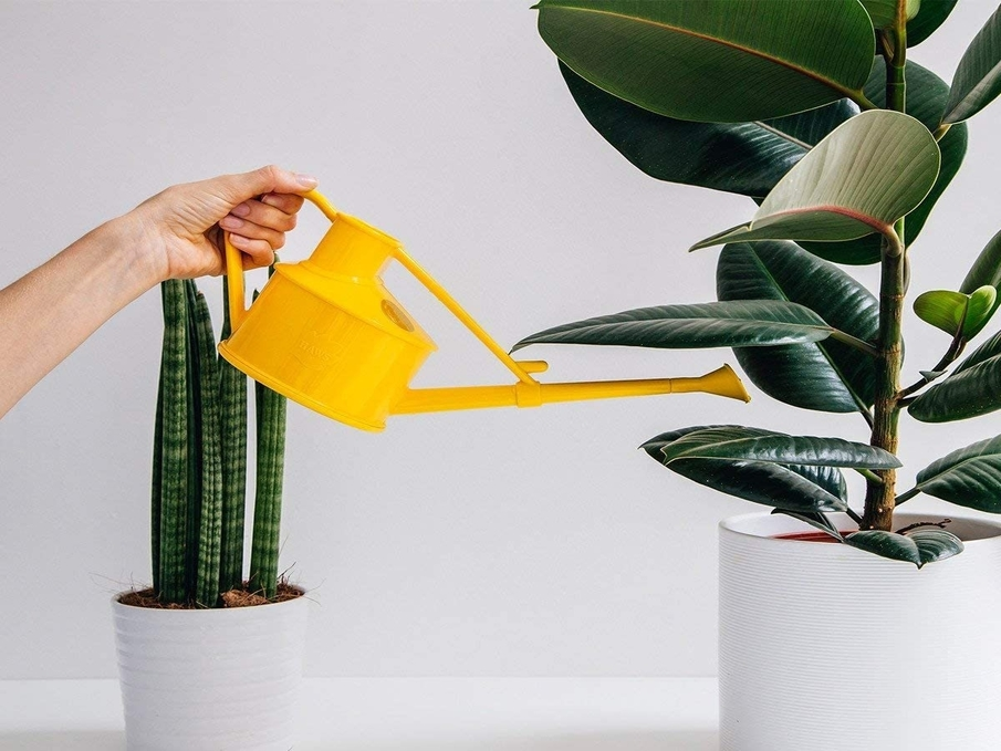 Haws Finest Quality Yellow Watering Can Watering Plant