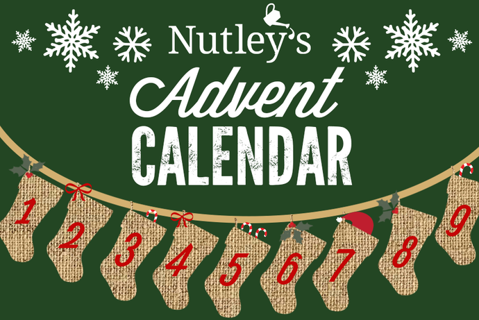 Nutley’s Advent Calendar