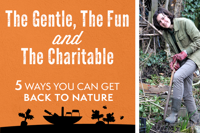 The Gentle, the Fun and the Charitable