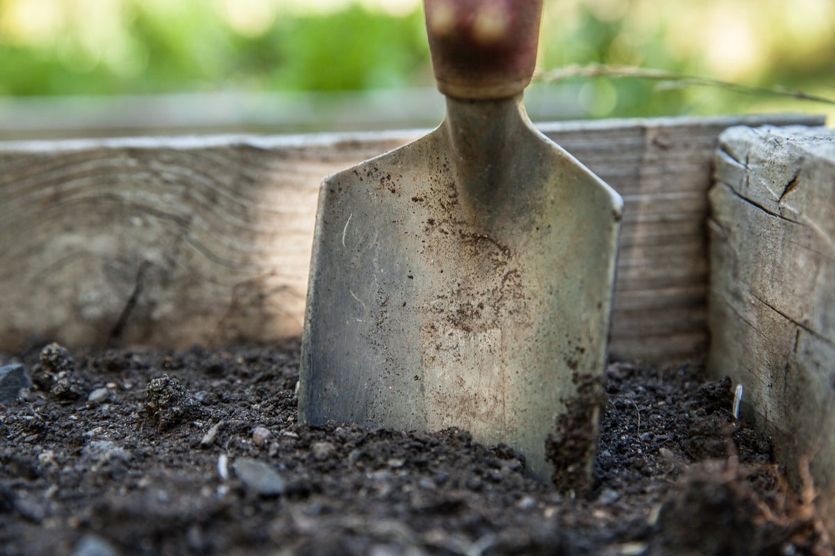 Shovel Dug In Soil In Garden