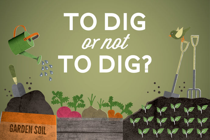 Is the Traditional Method of Digging over Our Soil Now Outdated?