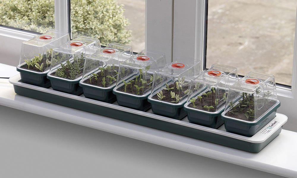 a row of seven Garland Electric Heated Propagators on a windowsill