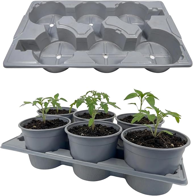 Nutley's 2-Litre Pot Carry Trays