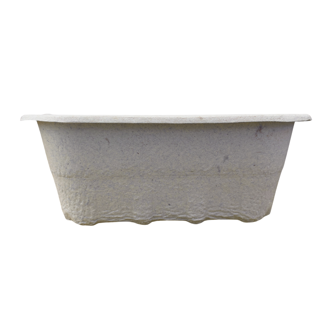 Nutley’s 250g Biodegradable Pulp Fibre Fruit Punnets