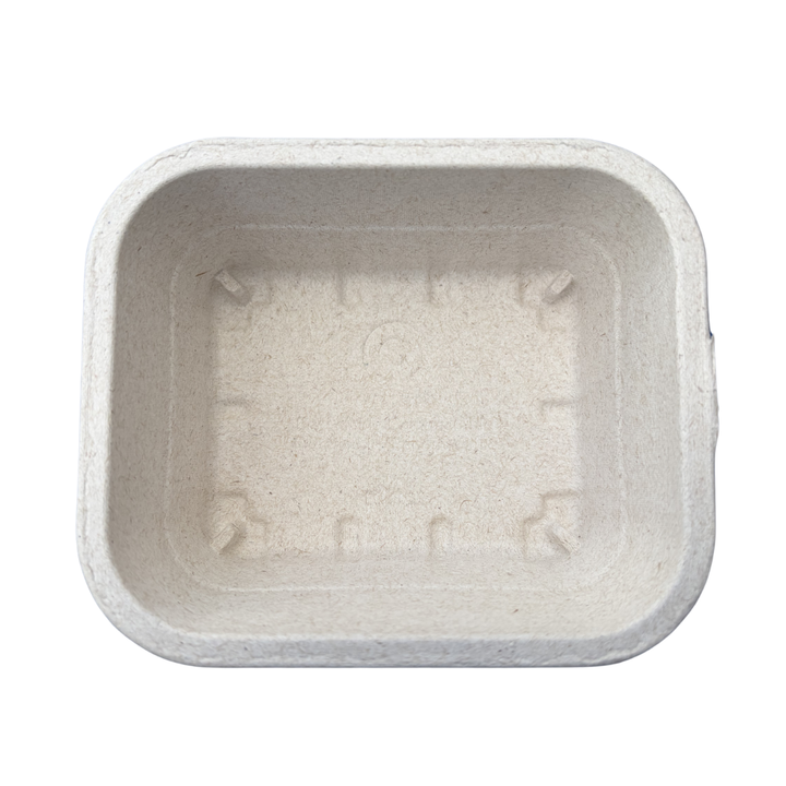 Nutley’s 250g Biodegradable Pulp Fibre Fruit Punnets