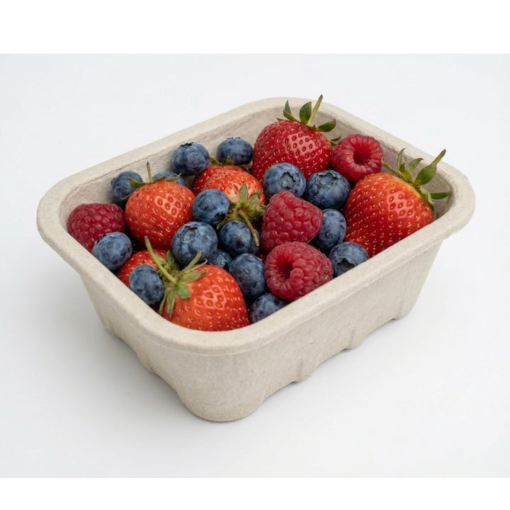 Nutley’s 250g Biodegradable Pulp Fibre Fruit Punnets
