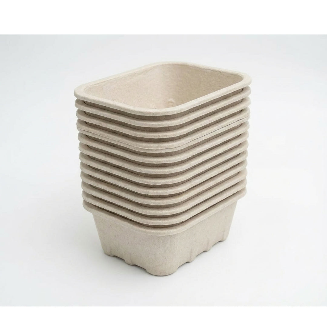 Nutley’s 250g Biodegradable Pulp Fibre Fruit Punnets