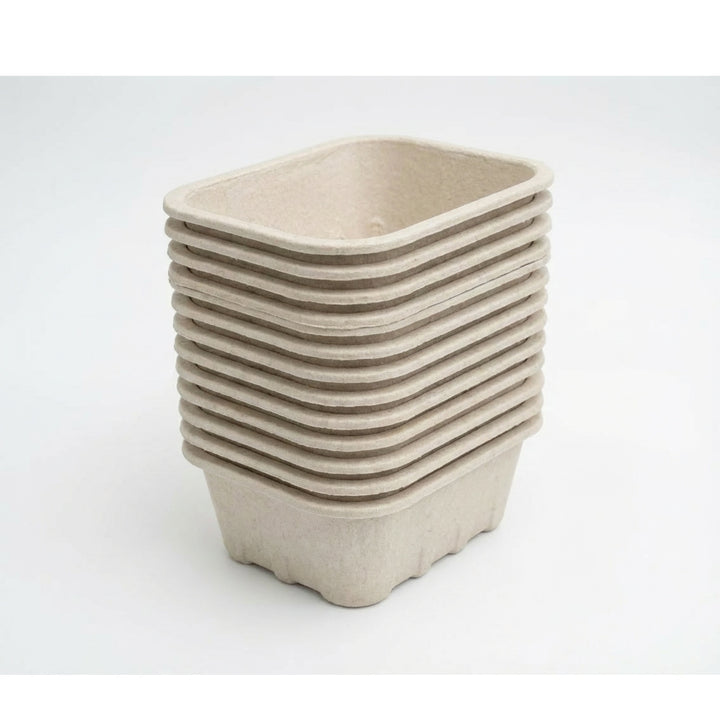 Nutley’s 250g Biodegradable Pulp Fibre Fruit Punnets