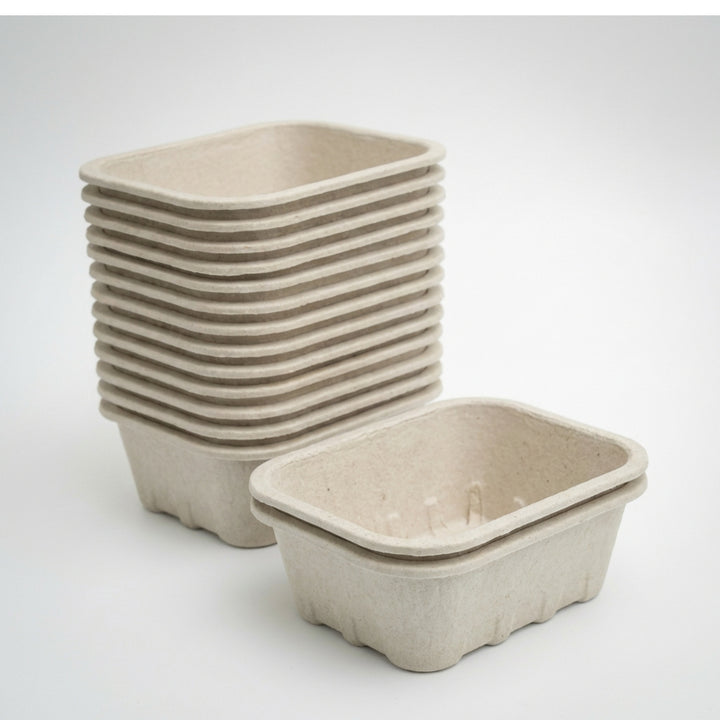 Nutley’s 250g Biodegradable Pulp Fibre Fruit Punnets