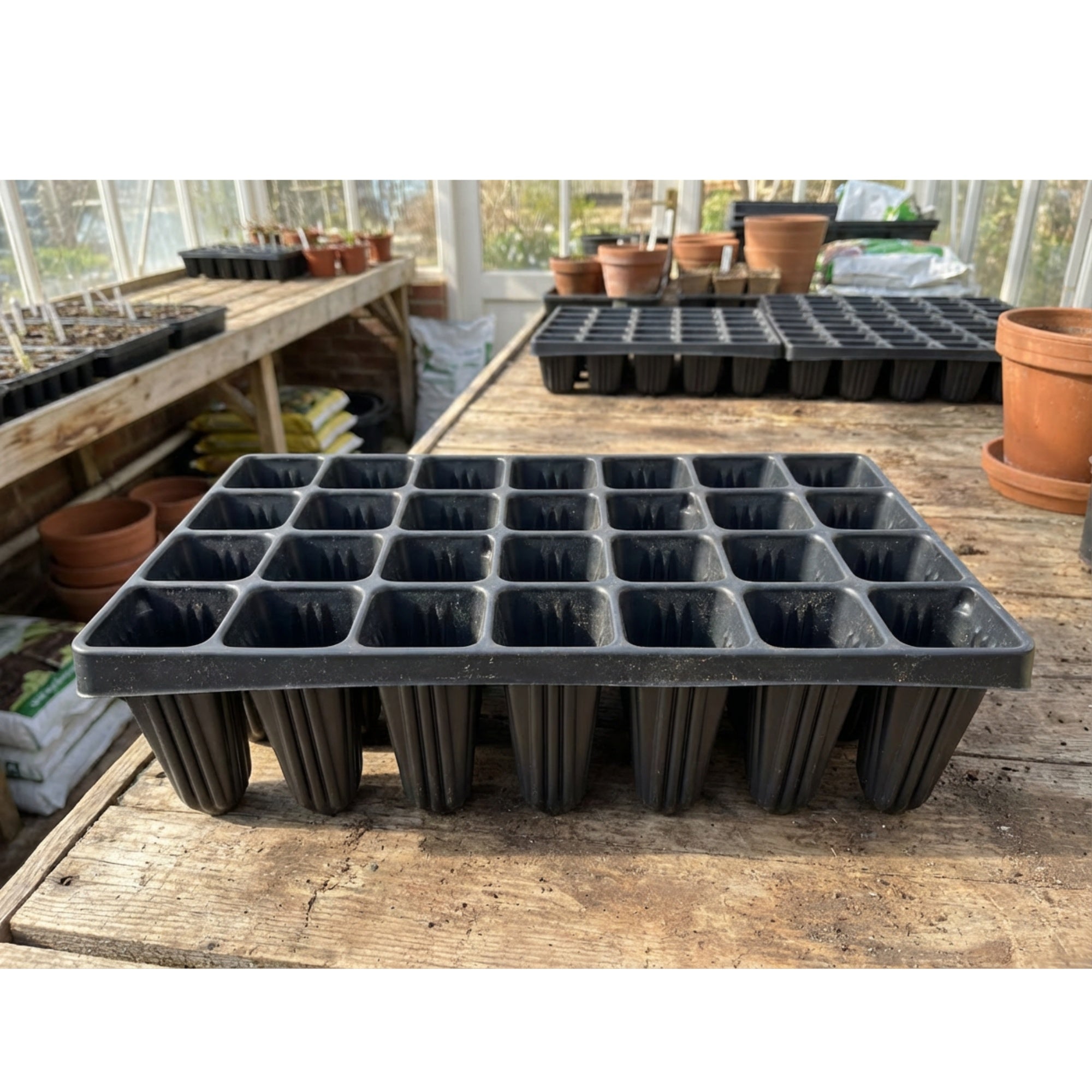 Nutley's Extra Large Plug Plant Root Grower: Select Cells and
