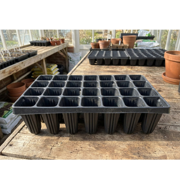 Nutley’s Extra Large Plug Plant Root Grower: Select Cells and Quantity