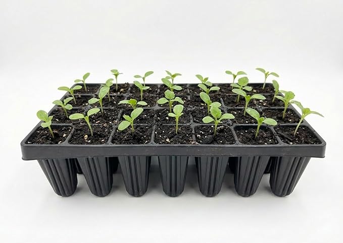 Nutley's Extra Large Plug Plant Root Grower: Select Cells and