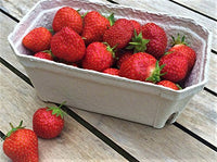 Nutley's fruit punnets fibre biodegradable compostable recycled 500g Fill with strawberries, raspberries, blackberries, cherries, plums, beans, peas, hazelnuts, cobnuts and more	