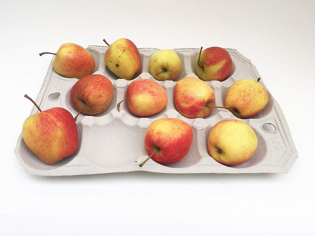 Nutley's Fibre Biodegradable Apple Tray 12-hole Compostable Fruit Storage Harvest