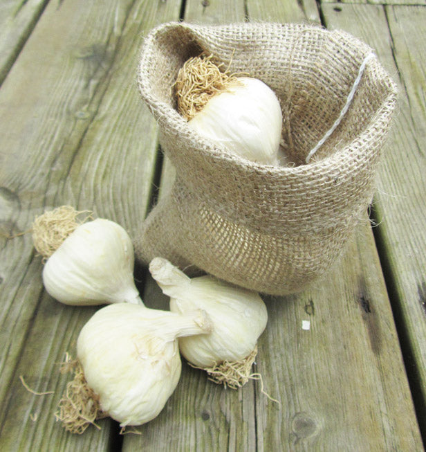 Nutley Small Hessian Garlic Bag Sack 14cm x 20cm keep garlic bulbs fresher longer 