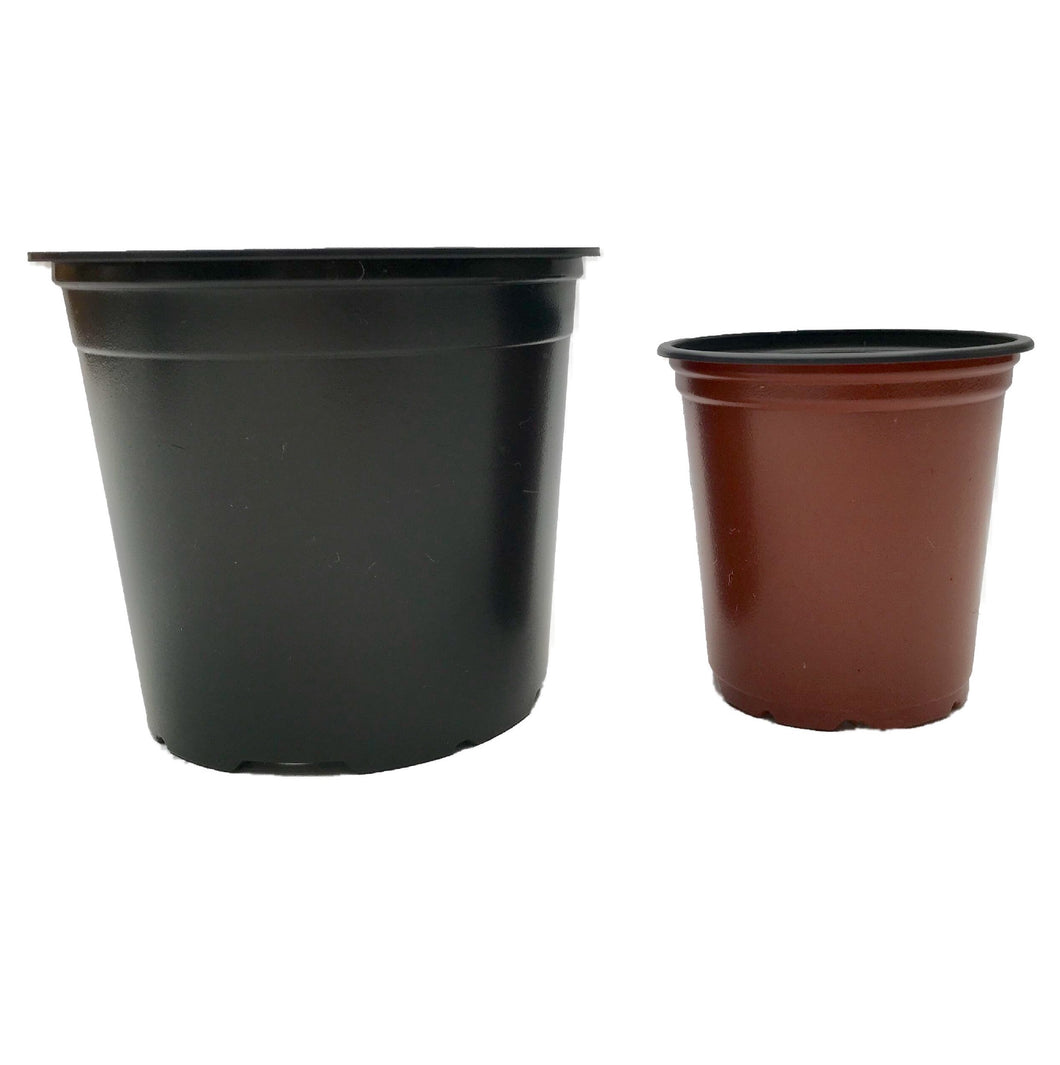 Mixed 9cm and 13cm Round Modiform Plastic Pots Duo