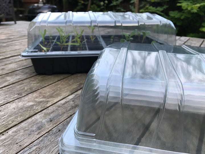 Nutley’s Clear Plastic Full Size Seed Propagator Lids