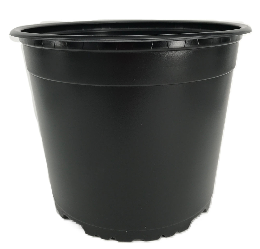 3 litre plastic plant pots Nutley's 19cm 3 Litre Round Plastic Plant Pot – Nutley's Kitchen Gardens