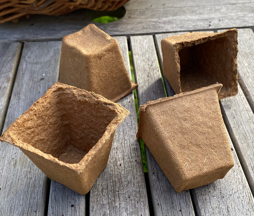 Nutley's 6cm Square Biodegradable & Organic Wood Fibre Plant Pots