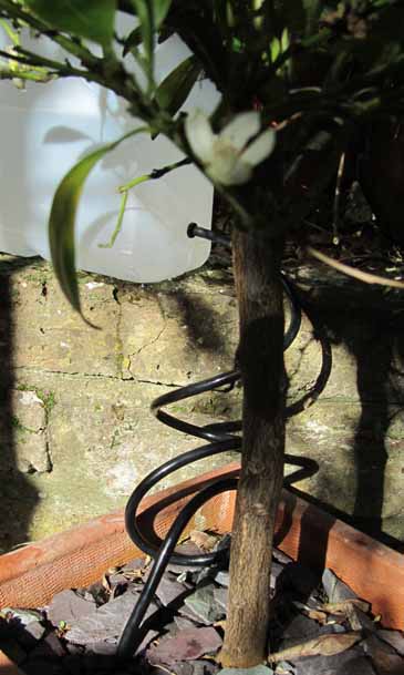 Dripper Kit for Slow-Release Plant Watering