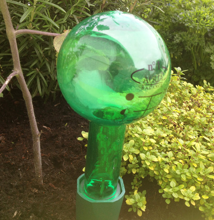 Great-looking Green Bottles for Plant Watering Spikes, 220ml 400ml 500ml 650ml 1.25L Watering Spike Aqua Balance