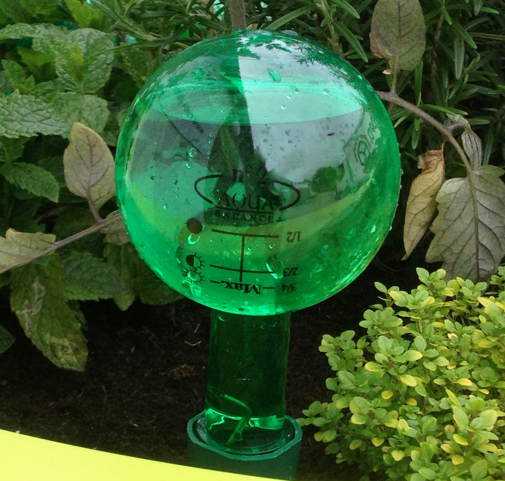 glass plant watering globes uk Nutley's Green Globes for Watering Spikes – Nutley's Kitchen Gardens