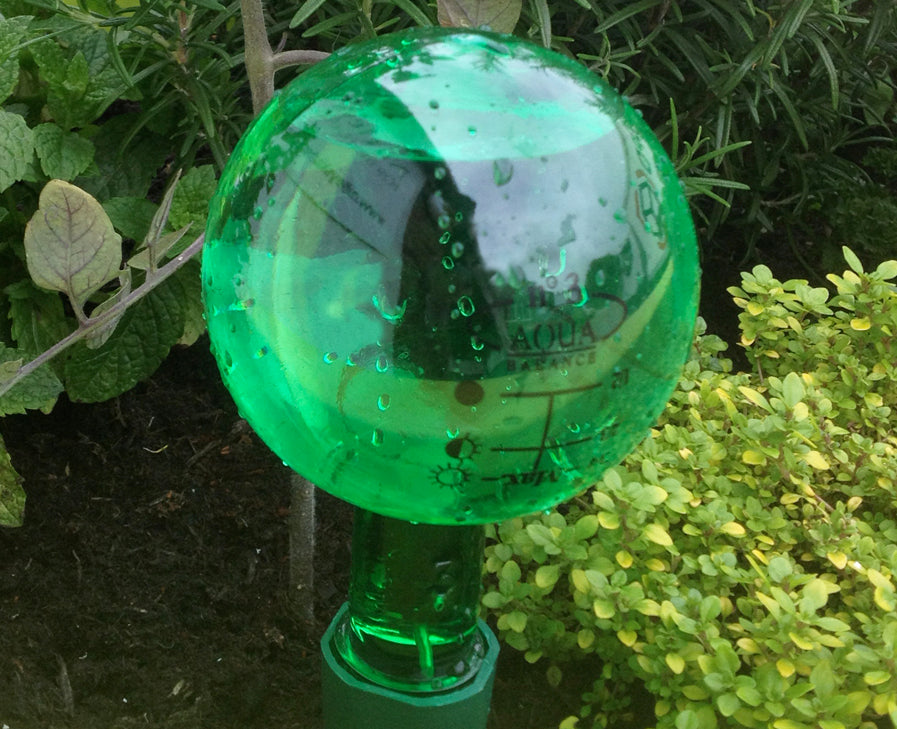 Great-looking Green Bottles for Plant Watering Spikes, 220ml 400ml 500ml 650ml 1.25L Watering Spike Aqua Balance