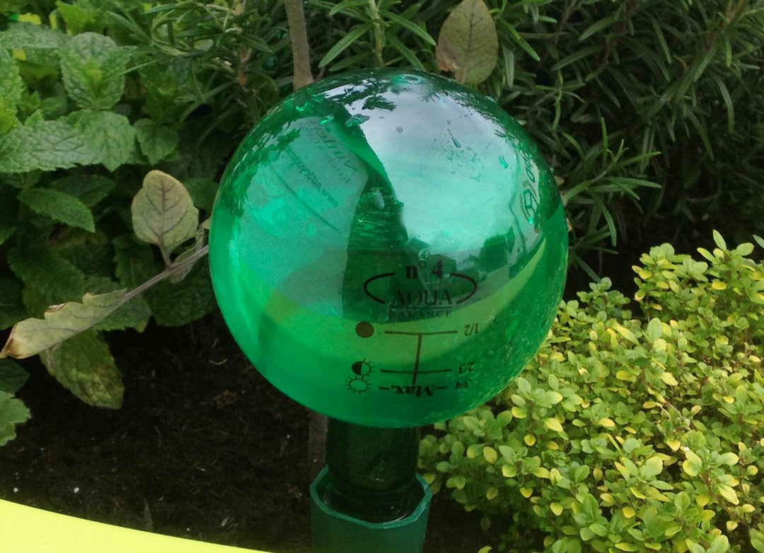 Great-looking Green Bottles for Plant Watering Spikes, 220ml 400ml 500ml 650ml 1.25L Watering Spike Aqua Balance