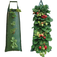 Load image into Gallery viewer, Hanging Strawberry Flower Bag Planter Pouch grow fruit herbs flowers UV treated
