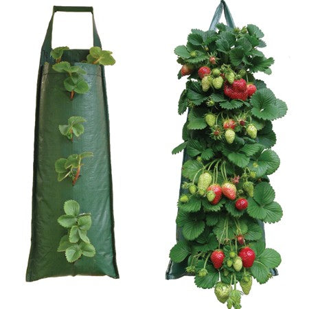 Hanging Strawberry Flower Bag Planter Pouch grow fruit herbs flowers UV treated