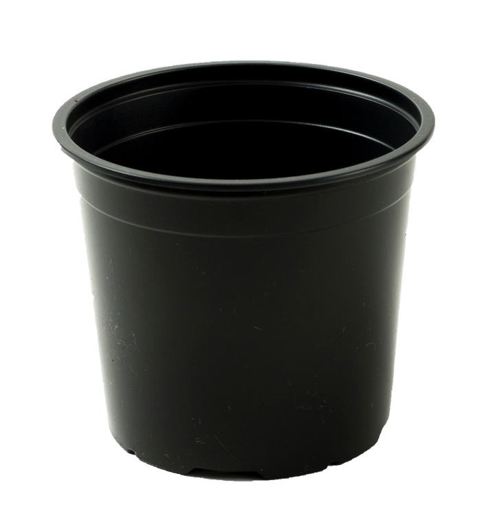 Mixed 9cm and 13cm Round Modiform Plastic Pots Duo