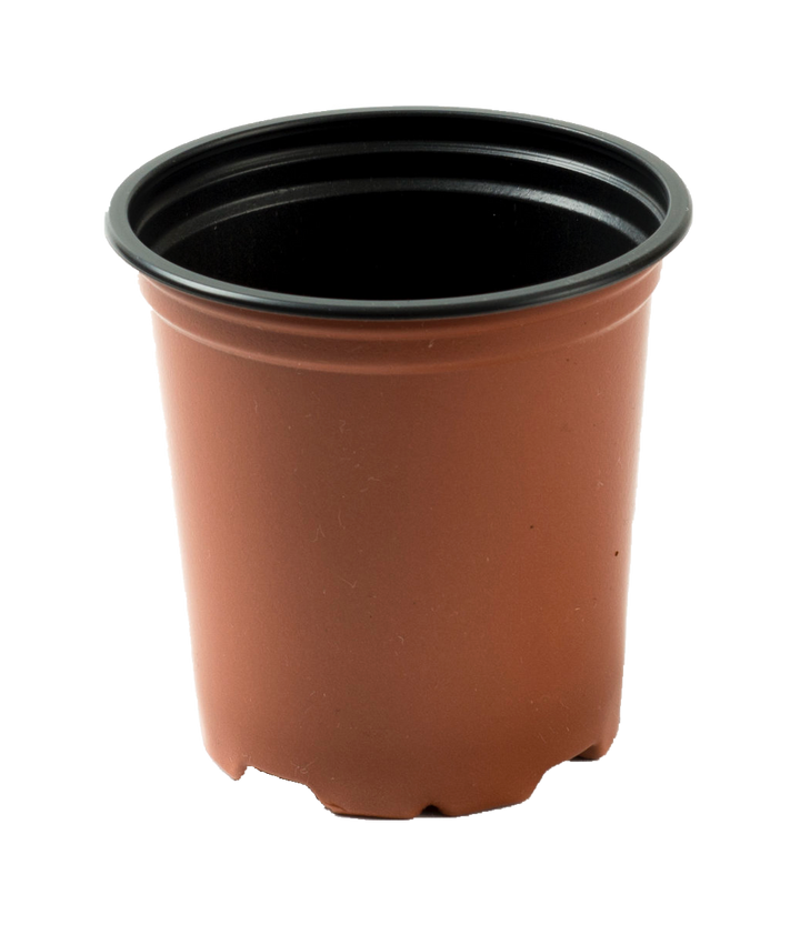 Mixed 9cm and 13cm Round Modiform Plastic Pots Duo