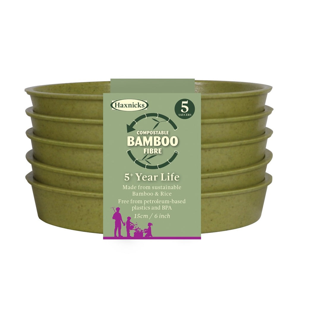 Haxnicks Bamboo Saucers Biodegradable Compostable Green Terracotta Rich Starch Composting Free from BPA 5 Year Guarantee   