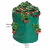 Garland Strawberry & Herb Growbag With dimensions