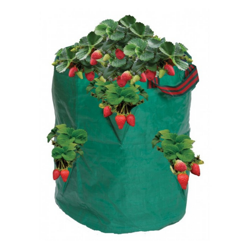 Garland Strawberry & Herb Growbag