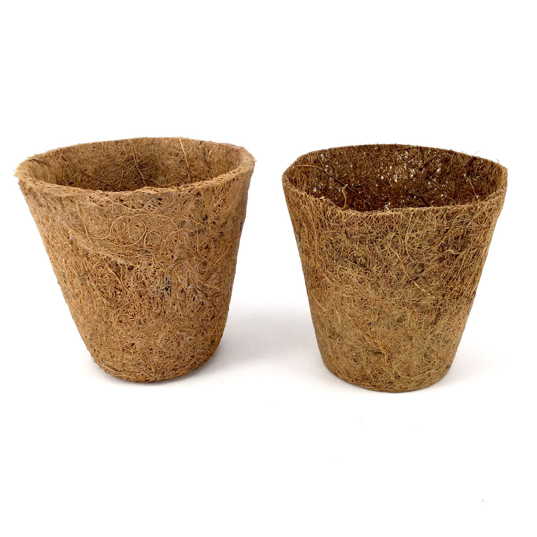 Nutley's 8cm Coco Fibre Biodegradable Reusable Easy Transplanting Flexible Plant Pots in both thick and thin 